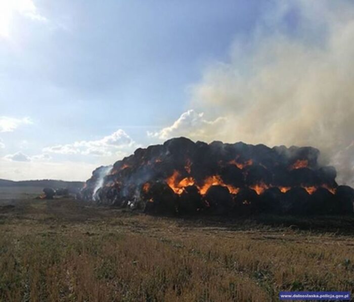 program 500+, rodziny wiejskie, dochody gospodarstwa rolnego