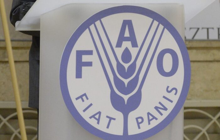 fao, asf, walka z asf, chiny, azja, Juan Lubroth, główny weterynarz FAO