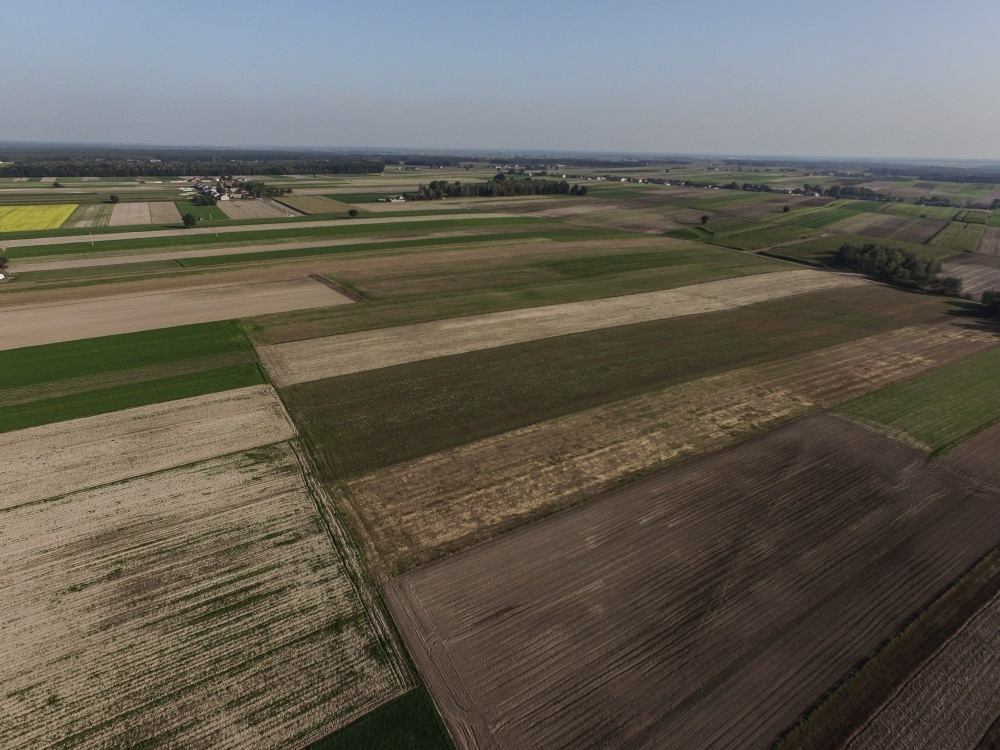 grunty rolne, sprzedaż ziemi, ustawa o ustroju rolnym