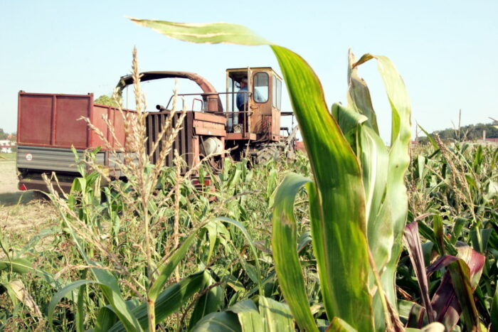 krir, kombajny, pozwolenia na kombajny, Krajowa Rada Izb Rolniczych