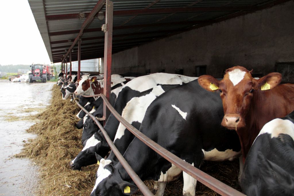 vat na leki weterynaryjne, leki weterynaryjne, andrzej duda, miisterstwo finansów, paweł jurek