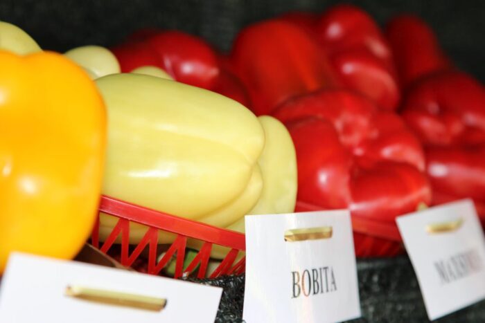 papryka, ceny papryki, ceny skupu papryki, rolnicy, Potworów, cena papryki w skupie