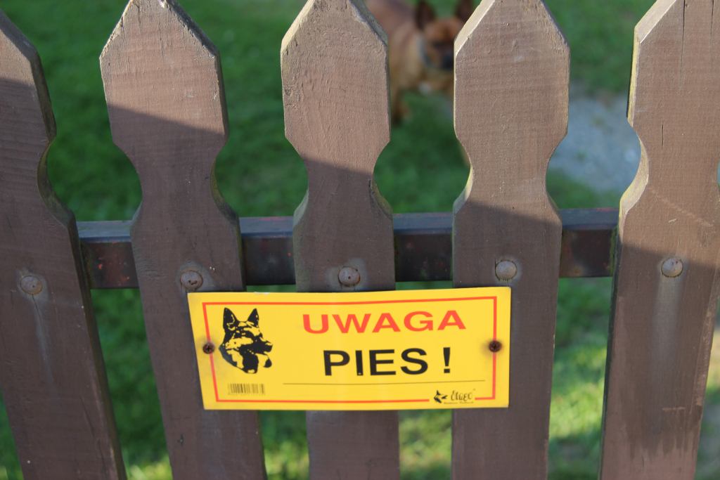 pogryzienie przez psa, policja, wypadek, lubelskie gmina Hanna