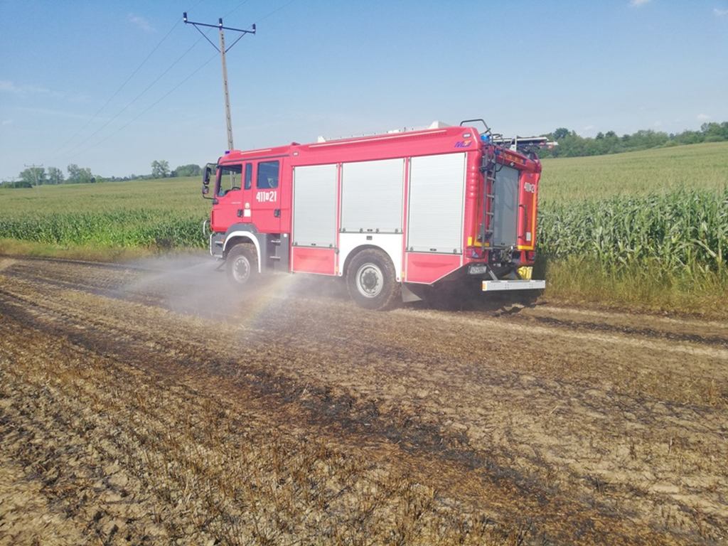pożar, warmińsko-mazurskie, gmina pieniężno, pożar zbóż, żniwa, OSP