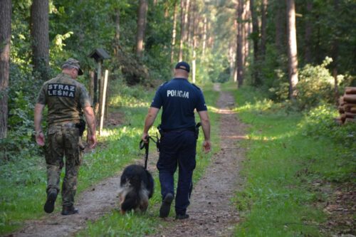 wspólne patrole w lasach, policja, straż leśna, lasy, Lasy Państwowe