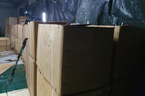 Arysta LifeScience, choroby, białko, grzyby, Alternaria tenuissima, Atailing, warzywa, tytoń