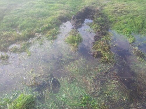 RPA, ulewne deszcze, powodzie, Wandile Sihlobo