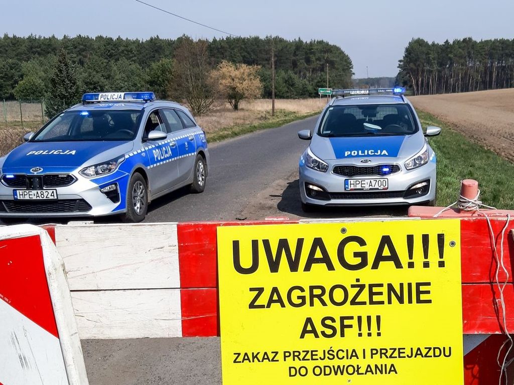 asf_pomor