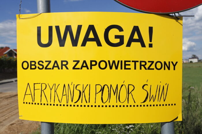 asf w polsce, asf u świń, ogniska asf u świń, sprzedaż tuczników, senat