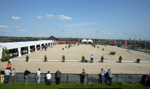 konie arabskie, aukcja w Michałowicach, małopolskie,  III Krakowski Pokaz Koni Arabskich, aukcja koni arabskich