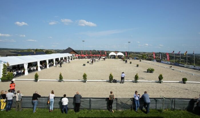 konie arabskie, aukcja w Michałowicach, małopolskie,  III Krakowski Pokaz Koni Arabskich, aukcja koni arabskich