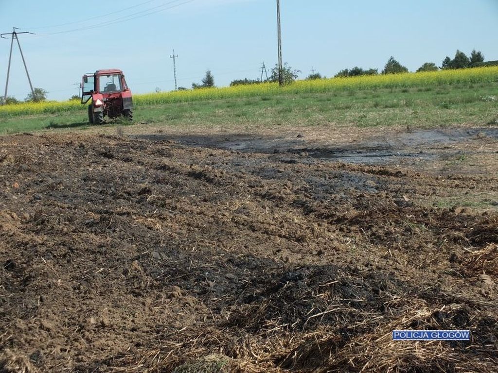 gmina głogów, gmina kcynia, nakło nad notecią, głogów, pożar balotów słomy, podpalanie lasów