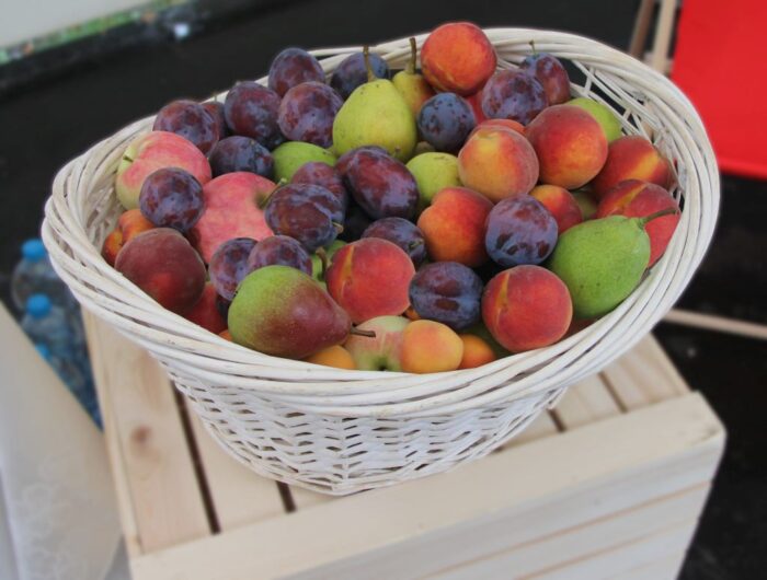 owoce i warzywa w szkole, Program dla szkół, mleko, owoce dla uczniów, warzywa dla dzieci, KOWR