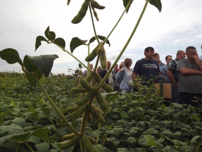 soja, uprawa, soi, dzień soi w Jarosławiu, otoczka nasion soi, uprawa