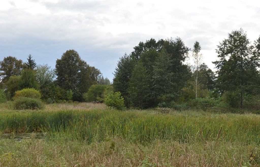 policja, myśliwi, myśliwi postrzelili mężczyznę, polowanie, lubelskie