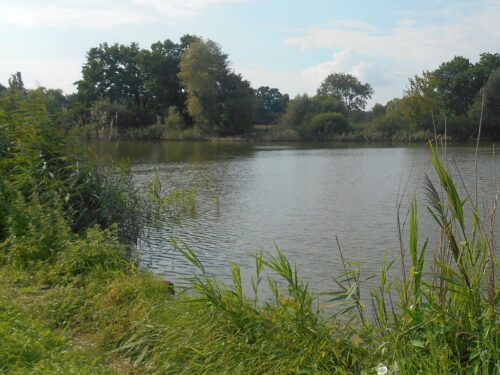 Najwyższa Izba kontroli, mała retencja, zbiorniki wody