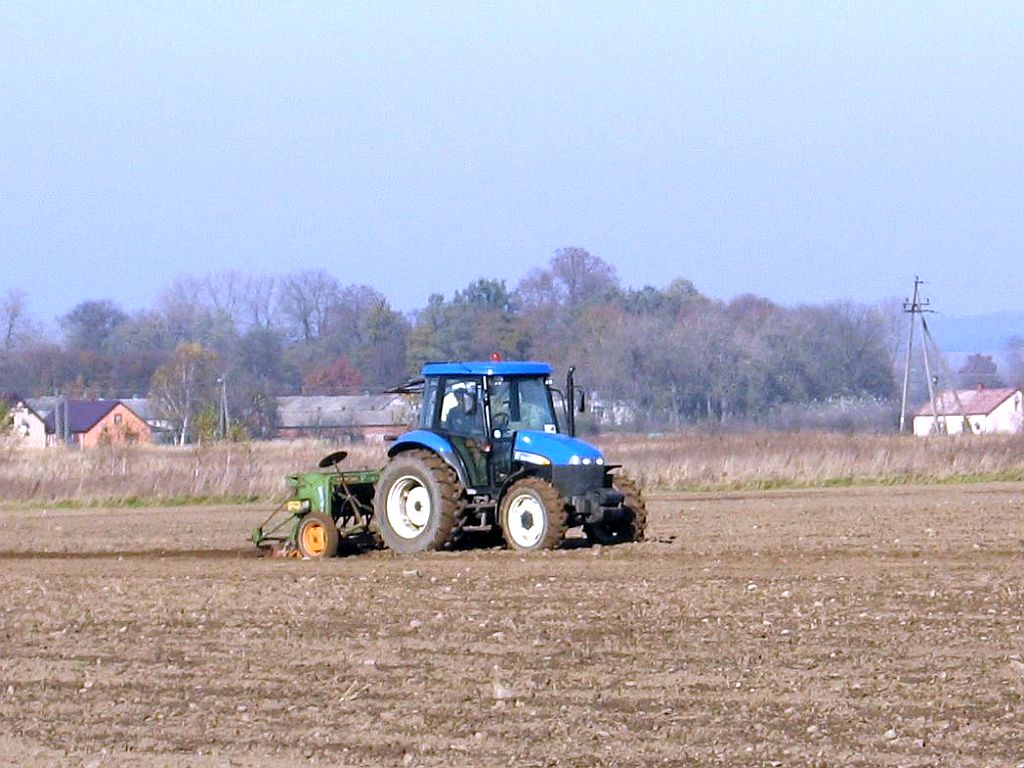 dopłaty do materiału siewnego, materiał siewny, arimr, materiał siewny kategorii elitarny