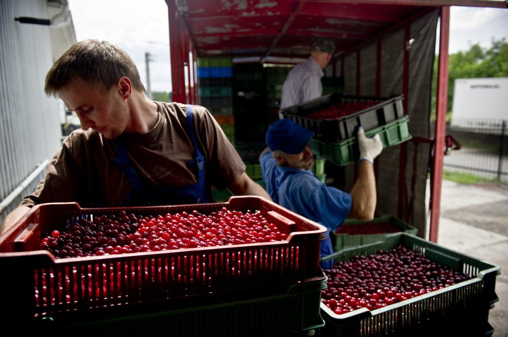 spółdzielnie rolnicze, grupy producenckie, sejmowa komisja rolnictwa, robert telus, podatek rolny