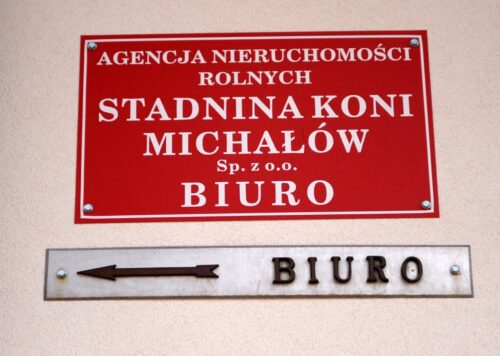 Maciej Paweł Grzechnik