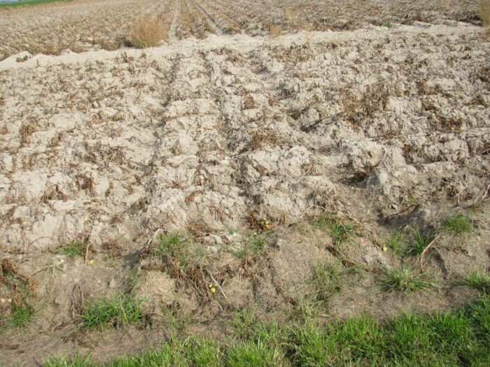 susza rolnicza, niedobór wody, klimatyczny bilans wodny, izby rolnicze, krir, stan klęski żywiołowej