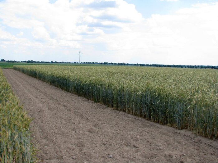 ceny gruntów rolnych, gus, armir, linie kredytowe dla rolników