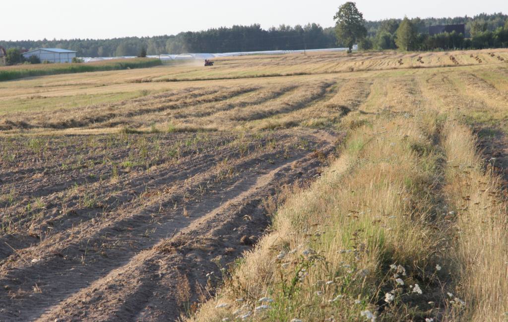 projekt ustawy o kształtowaniu ustroju rolnego, ustawa, ziemia, KOWR, prawo, przepisy