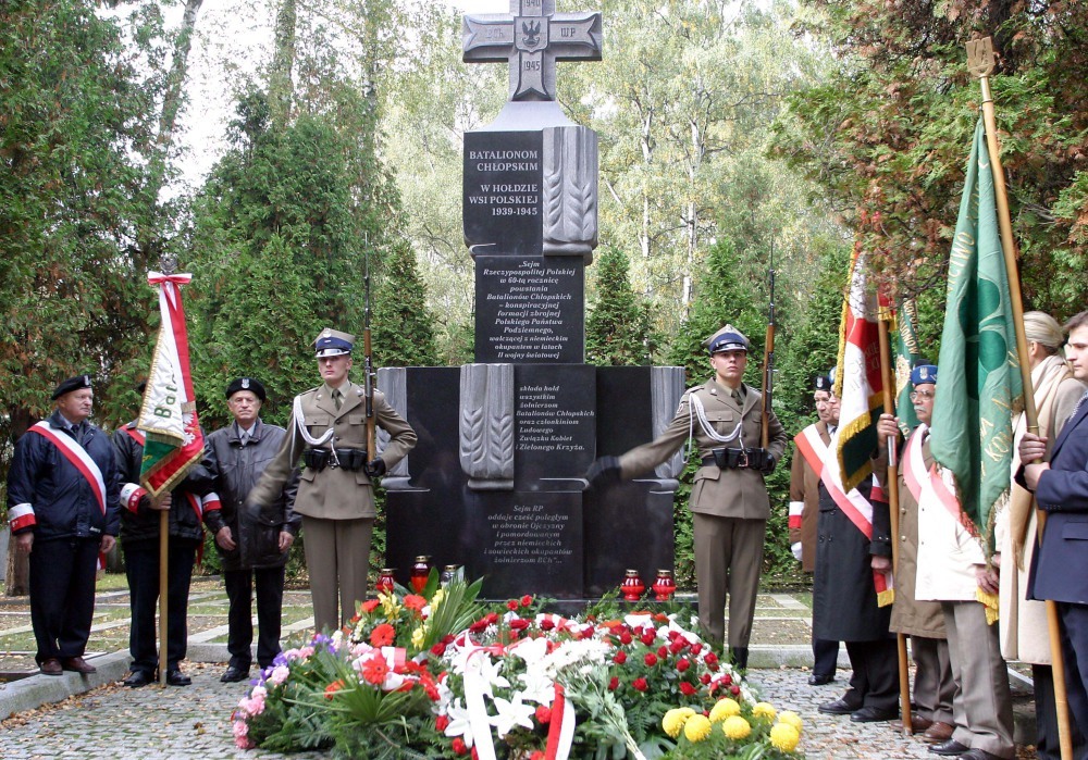 bataliony chłopskie, Straż Chłopska, Chłostra, jan józef kasprzyk, powązki