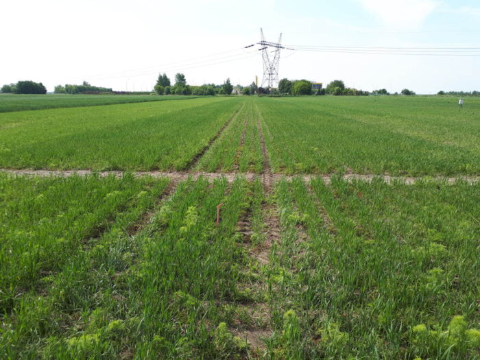 struktura gospodarstw w polsce, Michał Dudek, Instytut Ekonomiki Rolnictwa i Gospodarki Żywnościowej