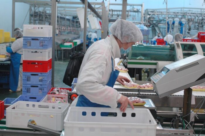 drób, produkcja, Farmio, Krajowa Rada Drobiarstwa - Izba Gospodarcza