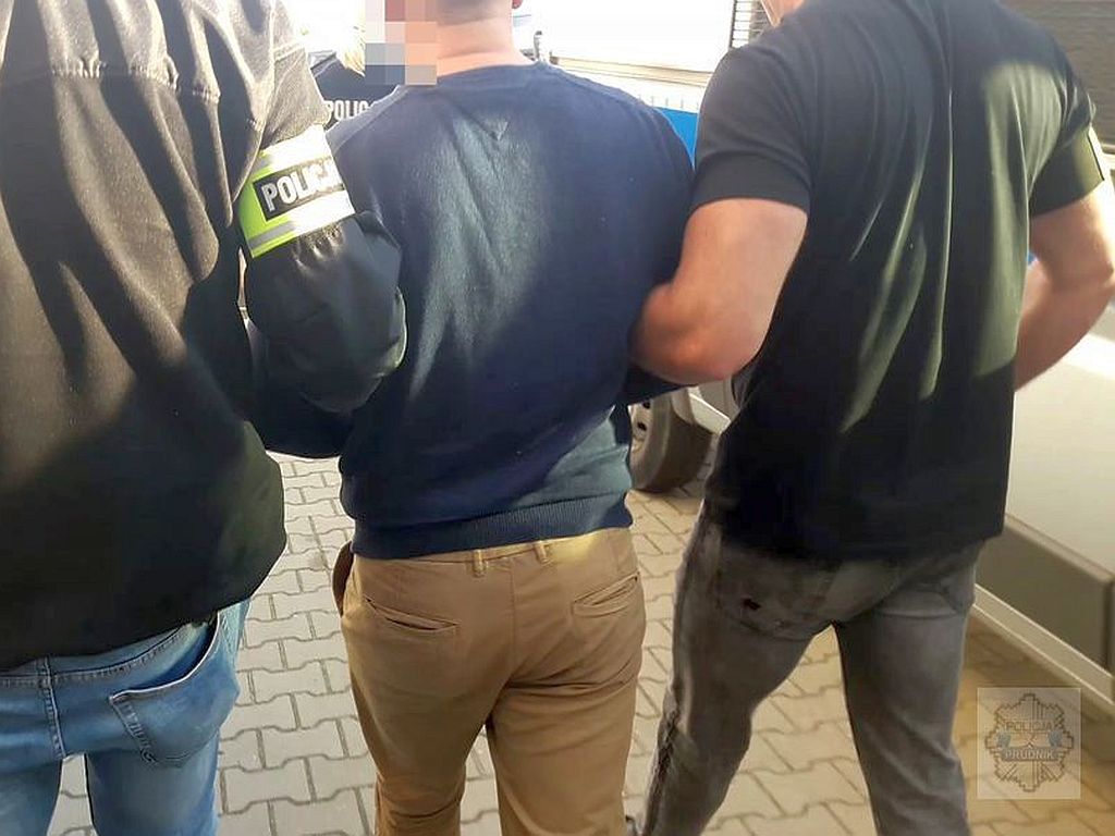 gołębie pocztowe, kradzież gołębi, prudnik, opolszczyzna