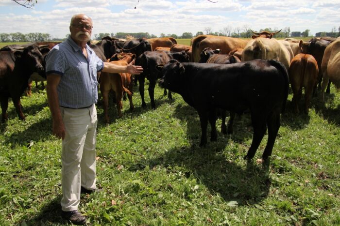 małe ubojnie zwierząt w gospodarstwach, jan krzysztof ardanowski,kolno, sprzedaż mięsa przez rolników