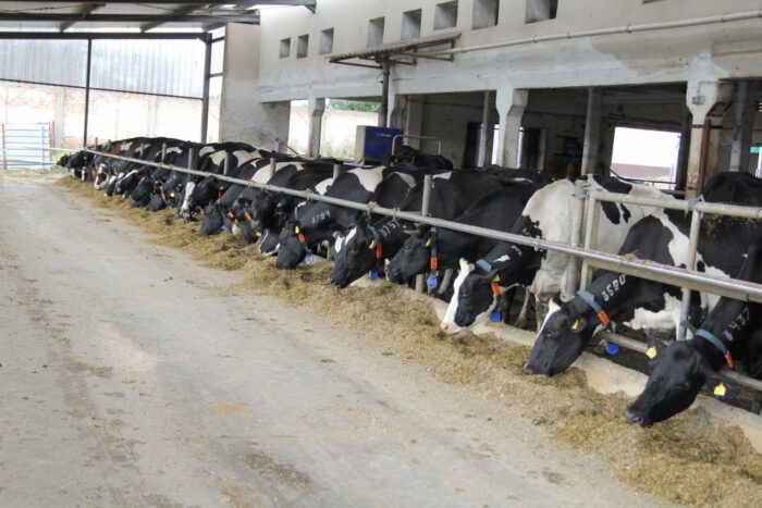 ustawa odorowa, Ireneusz Zyska, uciążliwości zapachowe, DJP