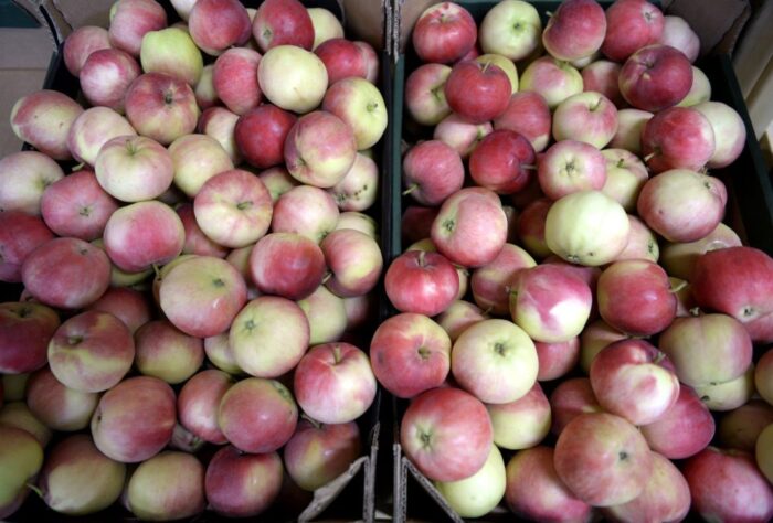 sadownictwo, skup jabłek, ceny jabłek, przetwórstwo owoców,  Lubelski Rynek Hurtowy Elizówka
