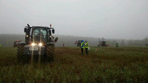 Konkurs Bezpiecznej Orki, Głuchów