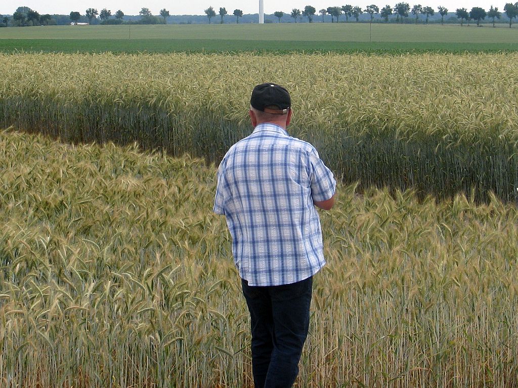kontrole na miejscu, kontrole arimr, arimr, dopłaty bezpośrednie, wymiary działek