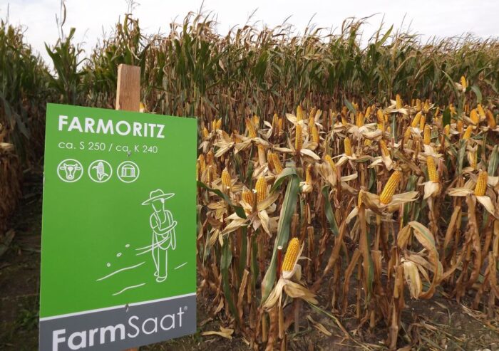 kukurydza, uprawa kukurydzy, Kodeń, Dzień kukurydzy, FarmSaa