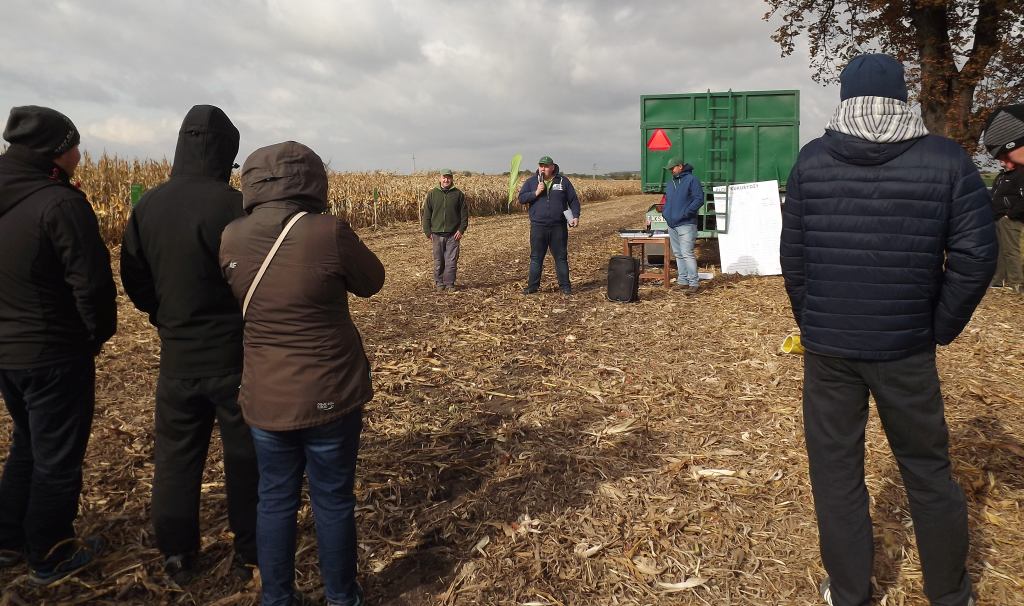 kukurydza, uprawa kukurydzy, Dzień kukurydzy, FarmSaat, lubelskie