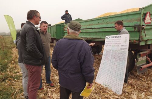 kukurydza, uprawa, uprawa kukurydzy, Dzień Kukurydzy Szówsko