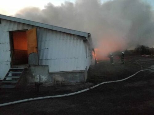 pożar fermy trzody chlewnej, ogień, chlewnia, Taciewo
