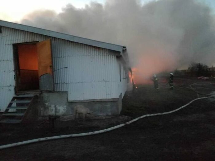 pożar fermy trzody chlewnej, ogień, chlewnia, Taciewo
