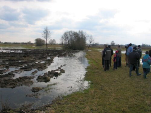 rolnictwo, budżet rolny, dotacje, ue