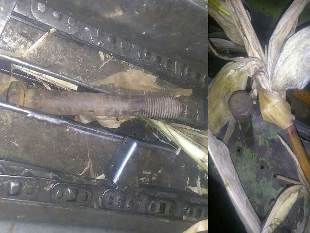 śruby na kolbach kukurydzy, kukurydza, przestępstwo, policja, śruby w kukurydzy