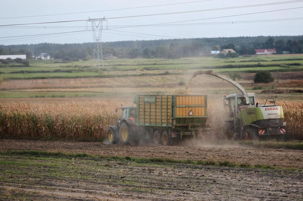 susza rolnicza, straty w uprawach z powodu suszy,jan krzysztof ardanowski, pomoc rządowa, szacowanie strat