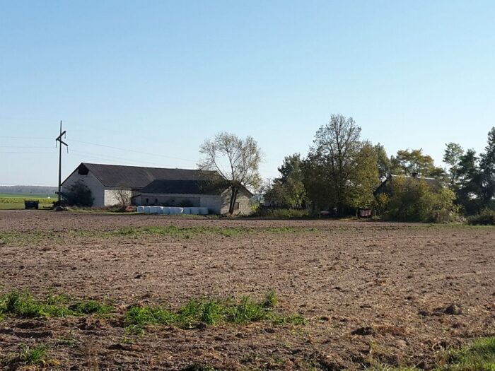 Koronawirus, COVID-19, zwierzęta hodowlane, dobrostan zwierząt, kwarantanna, wirus, hodowcy zwierząt, rolnicy, GIW