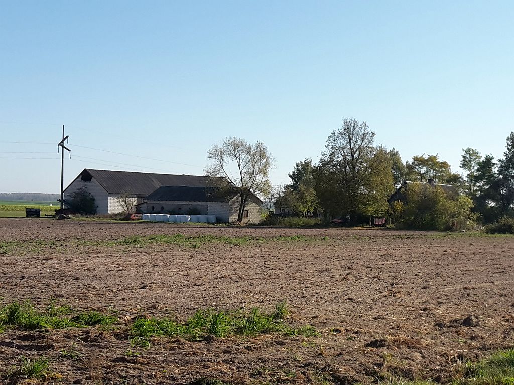 Koronawirus, COVID-19, zwierzęta hodowlane, dobrostan zwierząt, kwarantanna, wirus, hodowcy zwierząt, rolnicy, GIW