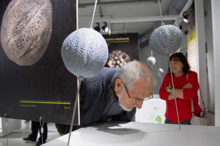 wystawa Tajemnice pyłków