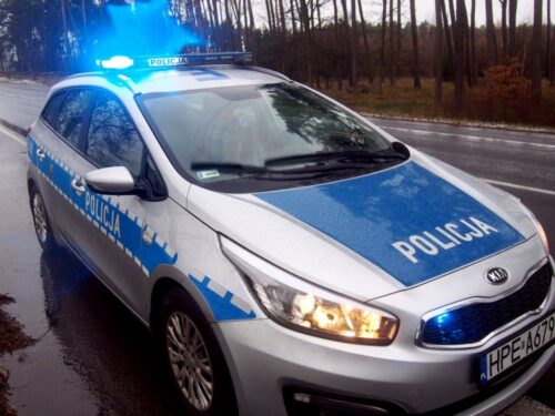 zabił psa młotkiem, rolnik zabił psa, łódzkie, policja, przestępstwo