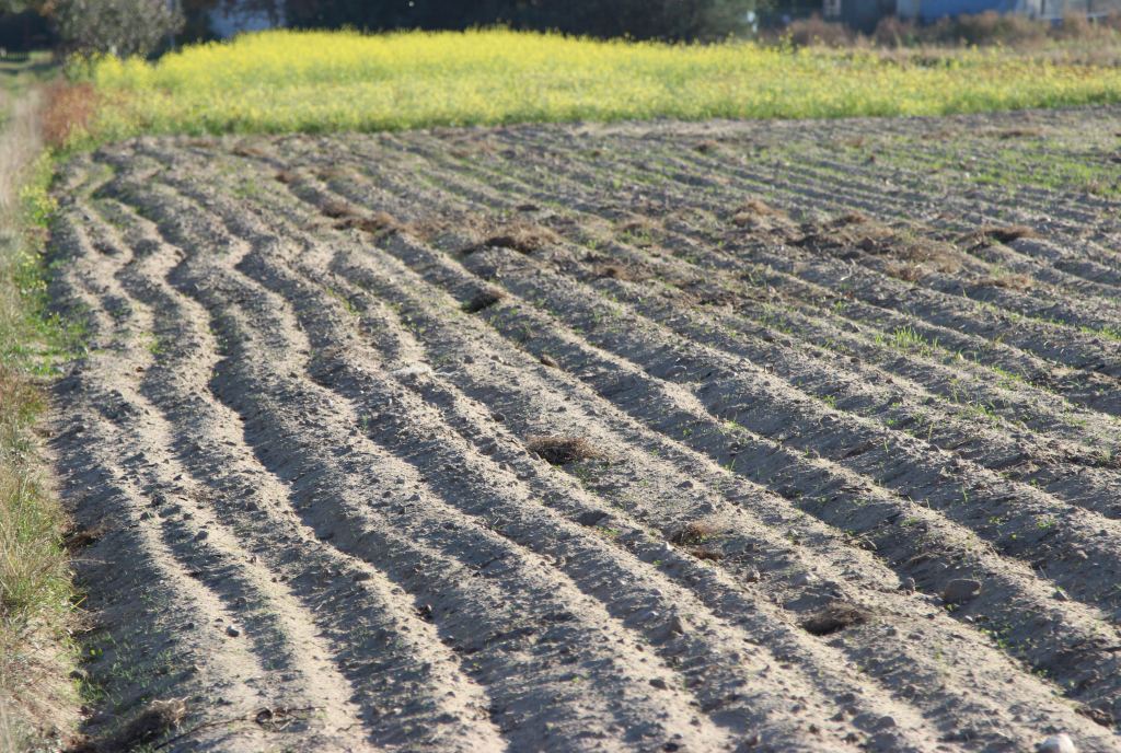 KOWR, projekt zmiany ustawy o kształtowaniu ustroju rolnego oraz o zmianie niektórych innych ustaw