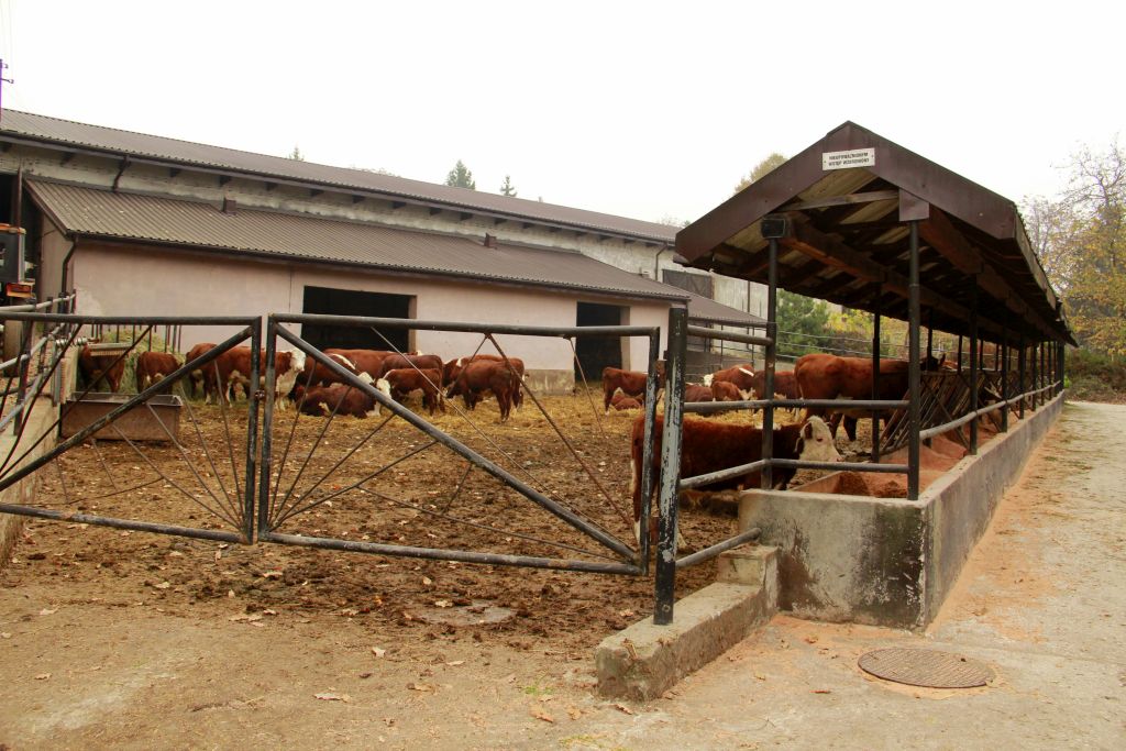 matryca vat, vat na produkty rolne, vat na środki produkcji dla rolnictwa