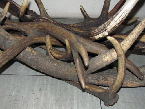 kradzież, kłusownictwo, policja, przestępstwo, drewno